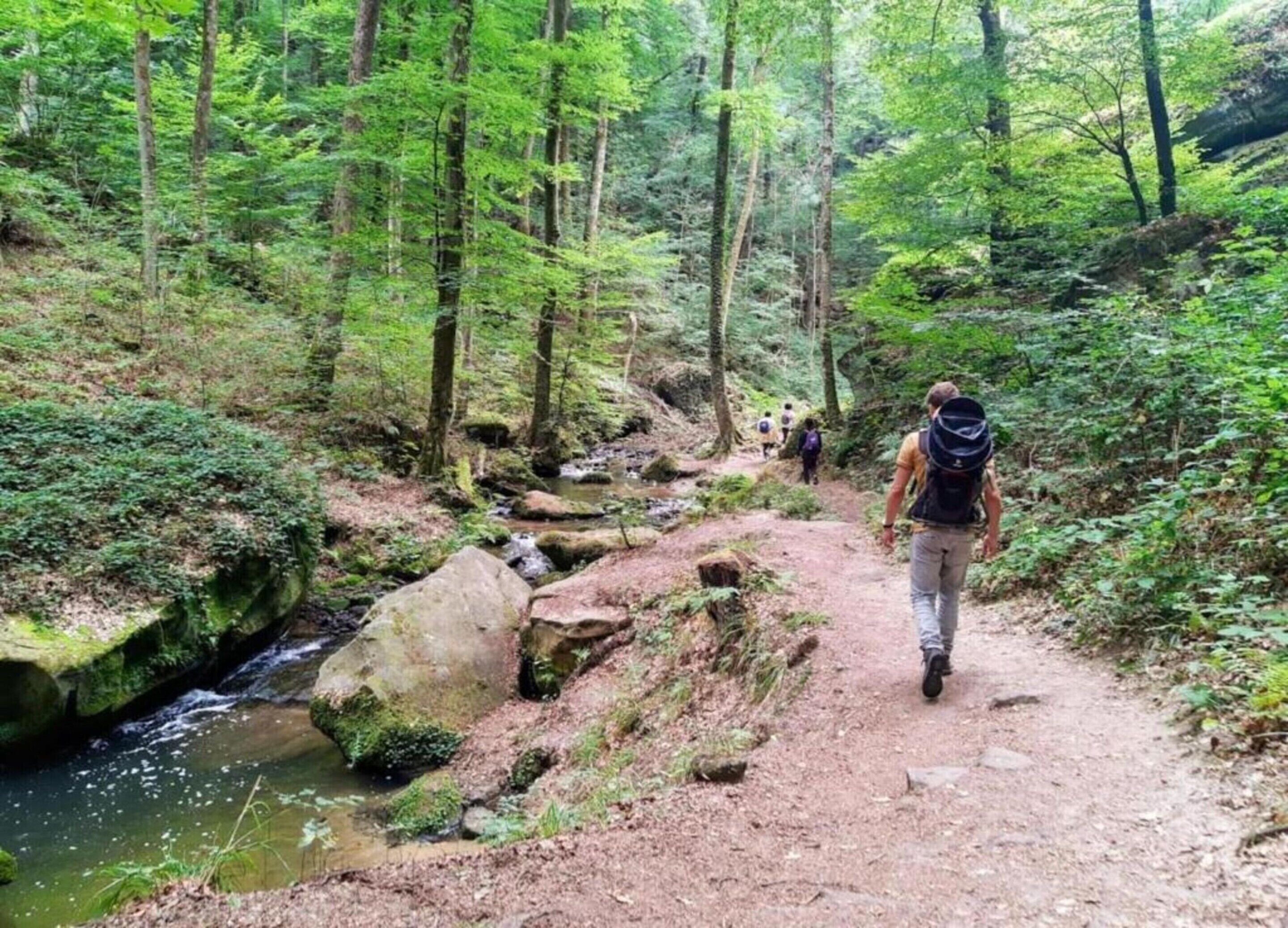 Zelt | Blick von der Unterkunft