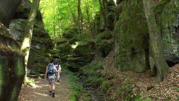 Tält | Utsikt från boendet