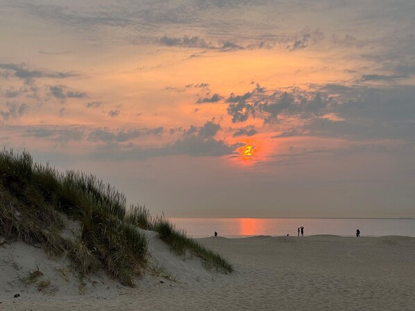 House | Pemandangan dari hartanah