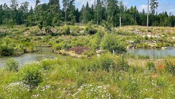 A natural landscape with a river, dense forest, and a variety of wildflowers.