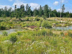 A natural landscape with a river, dense forest, and a variety of wildflowers. - 4 Star Holiday Home in Tranas (Tranas)