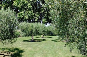 Ferienhaus | Blick von der Unterkunft