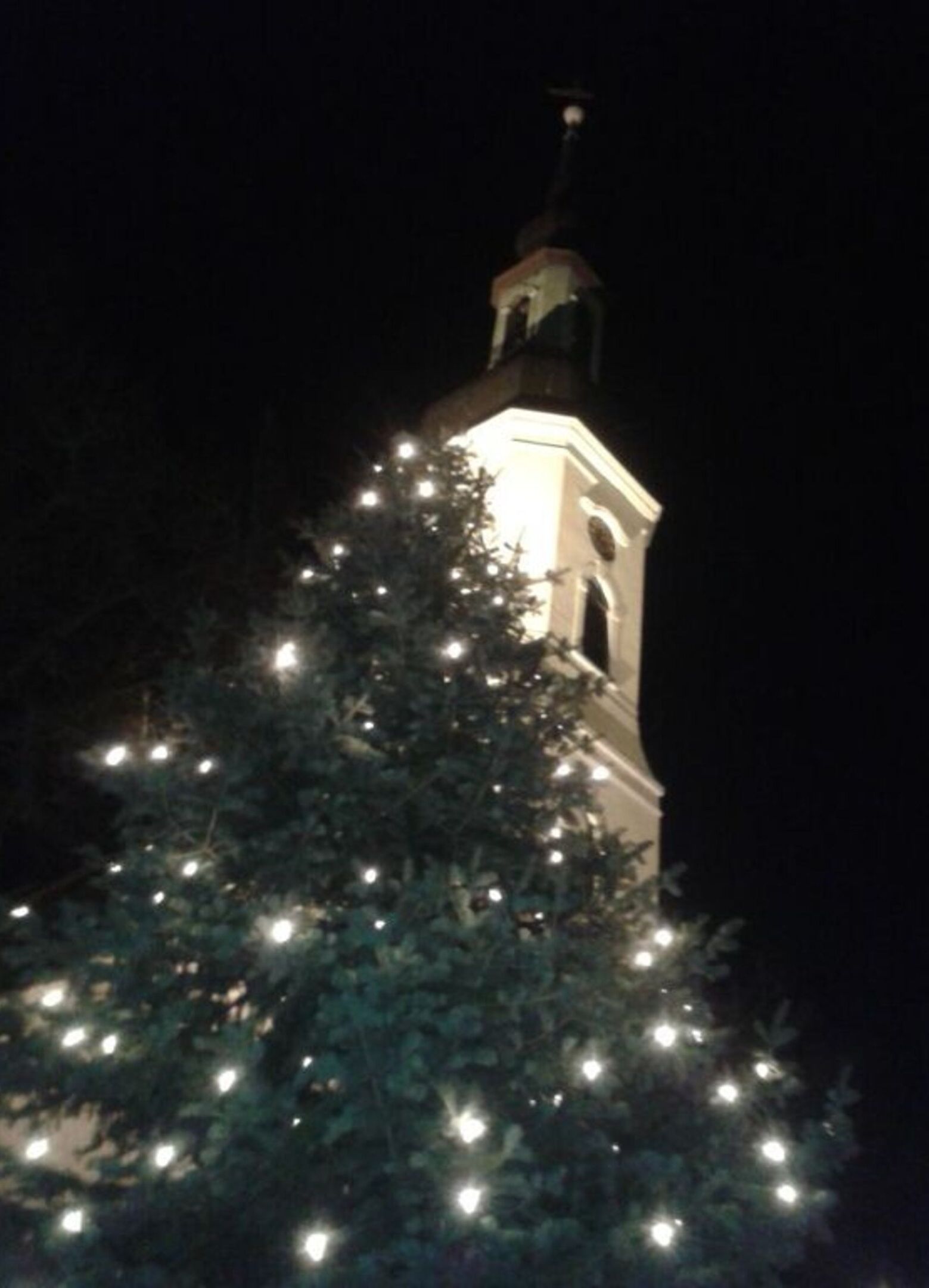 A building with a tower, surrounded by a tree with lights.