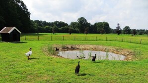 A grassy field with a small pond, a fenced area, and a wooden structure. - Beautiful Holiday Home With hot tub (Losser)