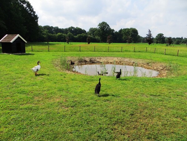 House | Property grounds - Beautiful Holiday Home With hot tub (Losser)