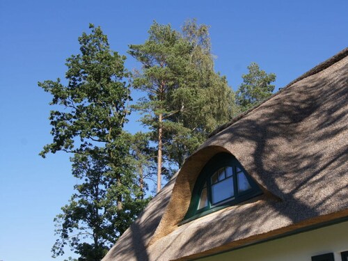 Holiday Home Reet am Dunenwald 17