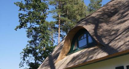 Holiday Home Reet am Dunenwald 17
