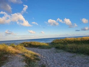 En sandstrand med gräsklädda sanddyner och en klarblå himmel med enstaka moln.