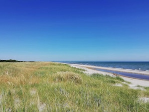 A beach with sand dunes and a bicycle.