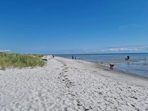 A sandy beach with people and dogs near the water. - 4 Star Holiday Home in Hals (Hals)