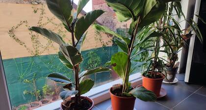 Gite de L'alsace Bossue