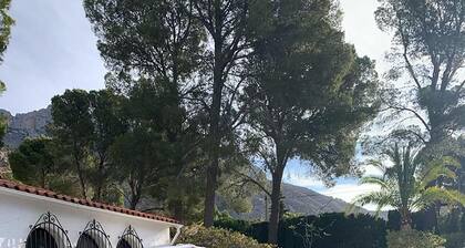 Benidorm Skyline Pool Retreat