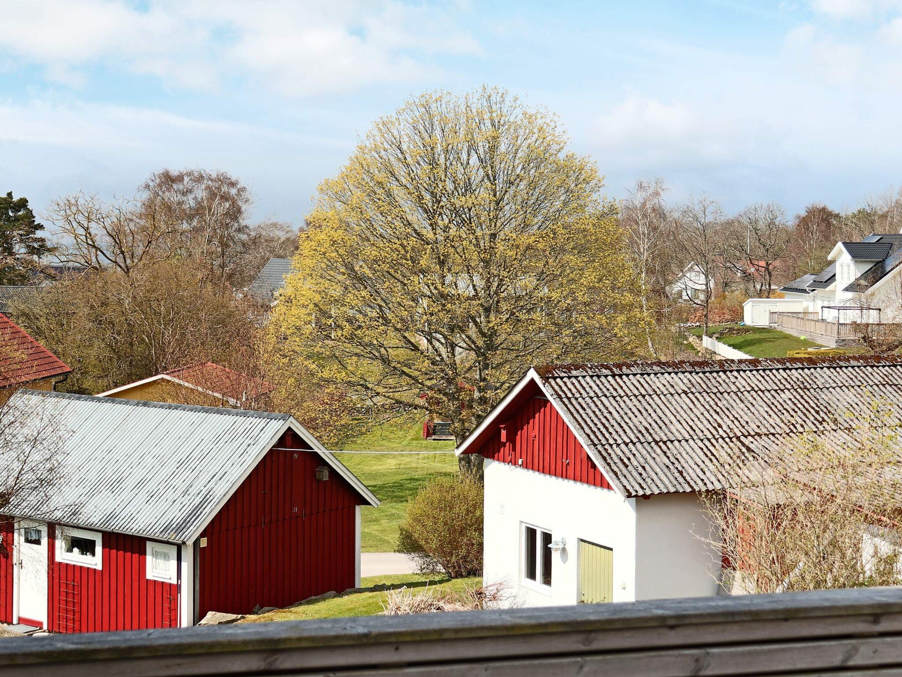 Un paysage rural avec des bâtiments rouges et blancs, un grand arbre et un ciel dégagé.
