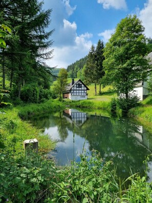 A lodge with a traditional half-timbered design, surrounded by lush greenery and a calm pond. - Ruckzugsort am Teich in Winterberg (Winterberg)