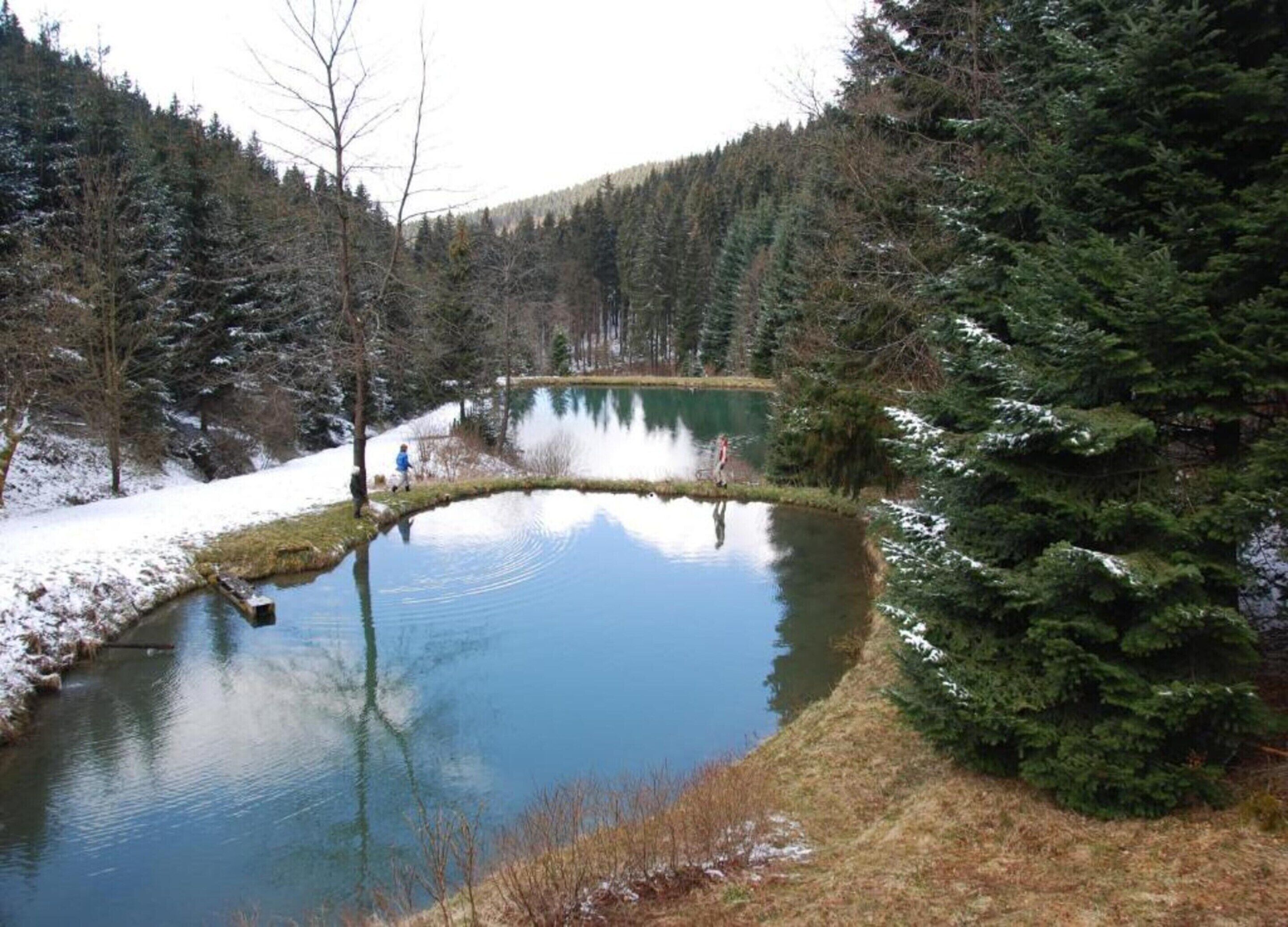 A serene lake surrounded by dense forest, with snow on the ground and trees.