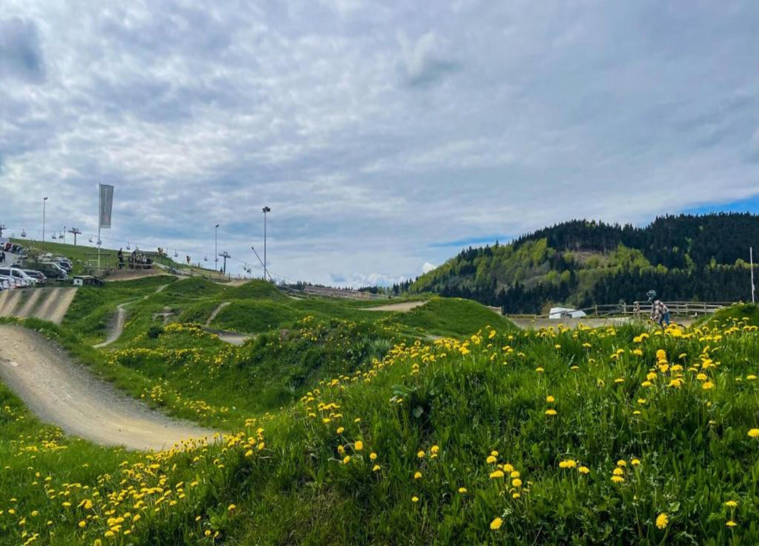 A scenic landscape with a dirt path, green hills, and yellow flowers.
