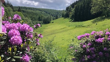 House | Garden