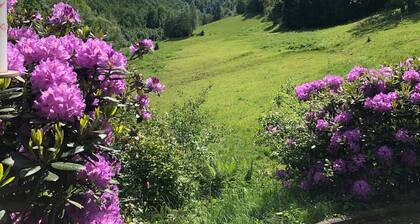 Holiday Home in the Countryside Near Winterberg