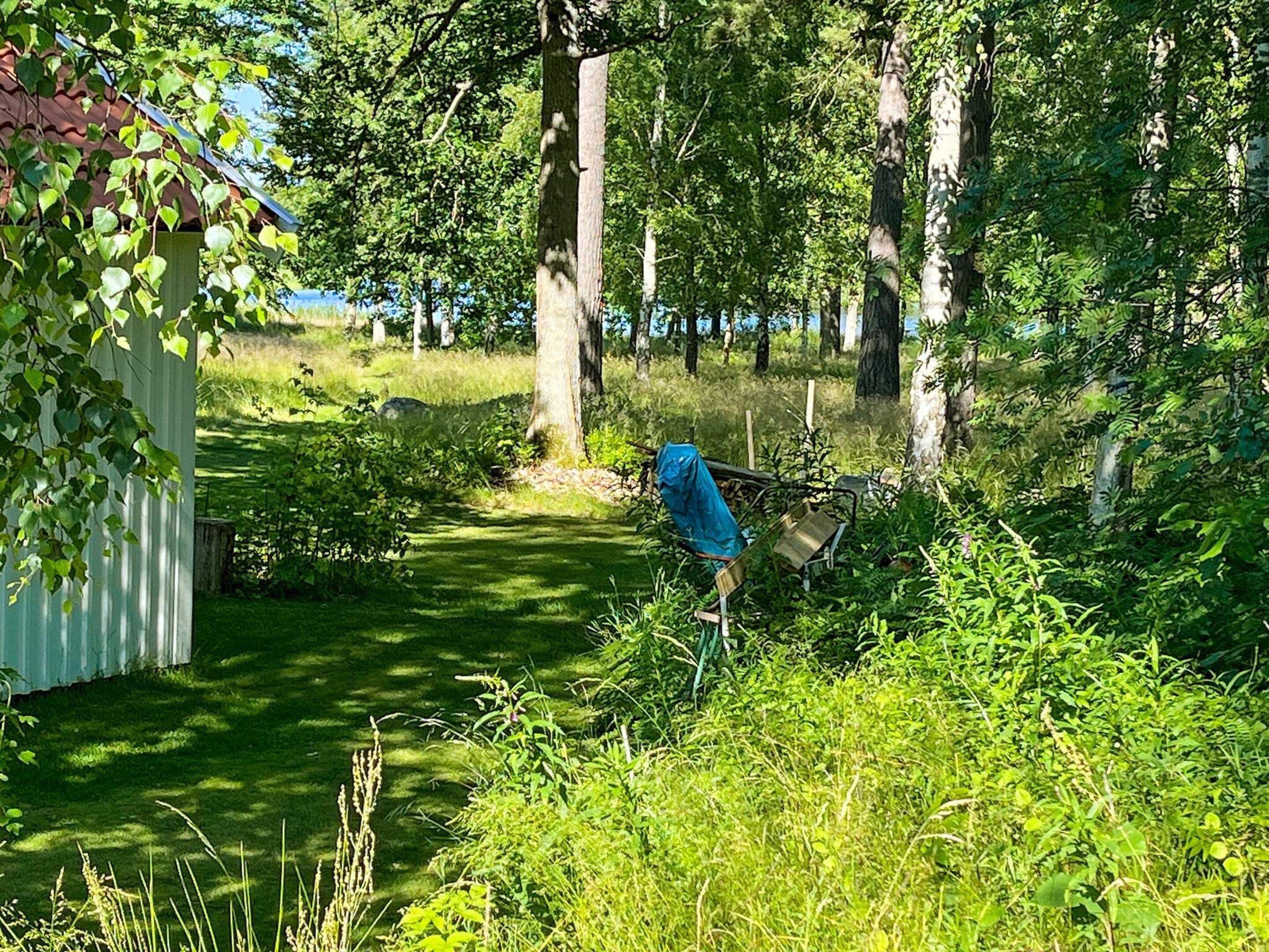 A rural pathway leading to a small shed, surrounded by dense greenery and trees.