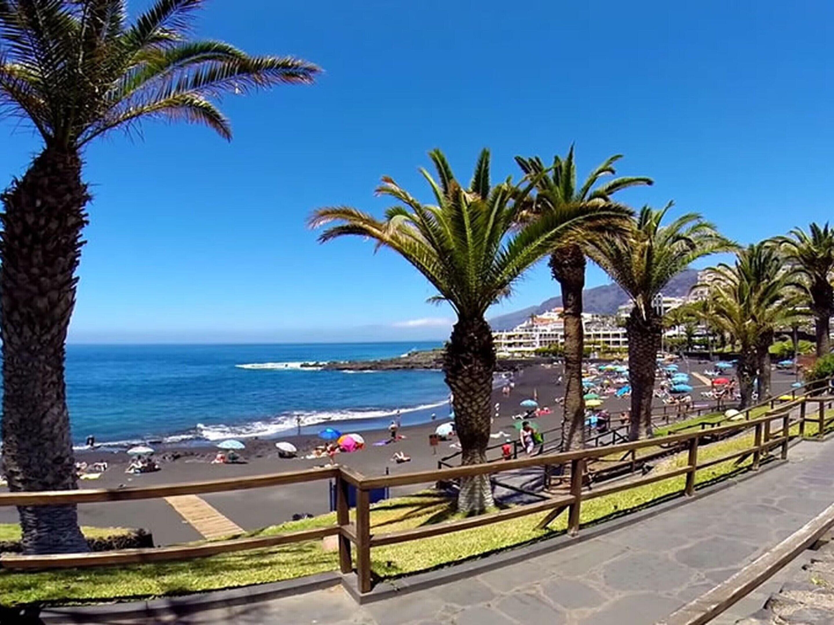 A coastal view with a beach, palm trees, and a clear blue sky.