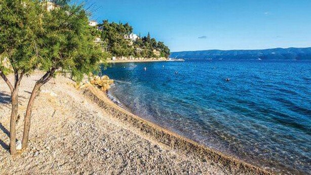 A beach with clear water, pebbles, and a tree. - Apartment Stipic Omis - Three Bedroom Apartment With Terrace (Omis)