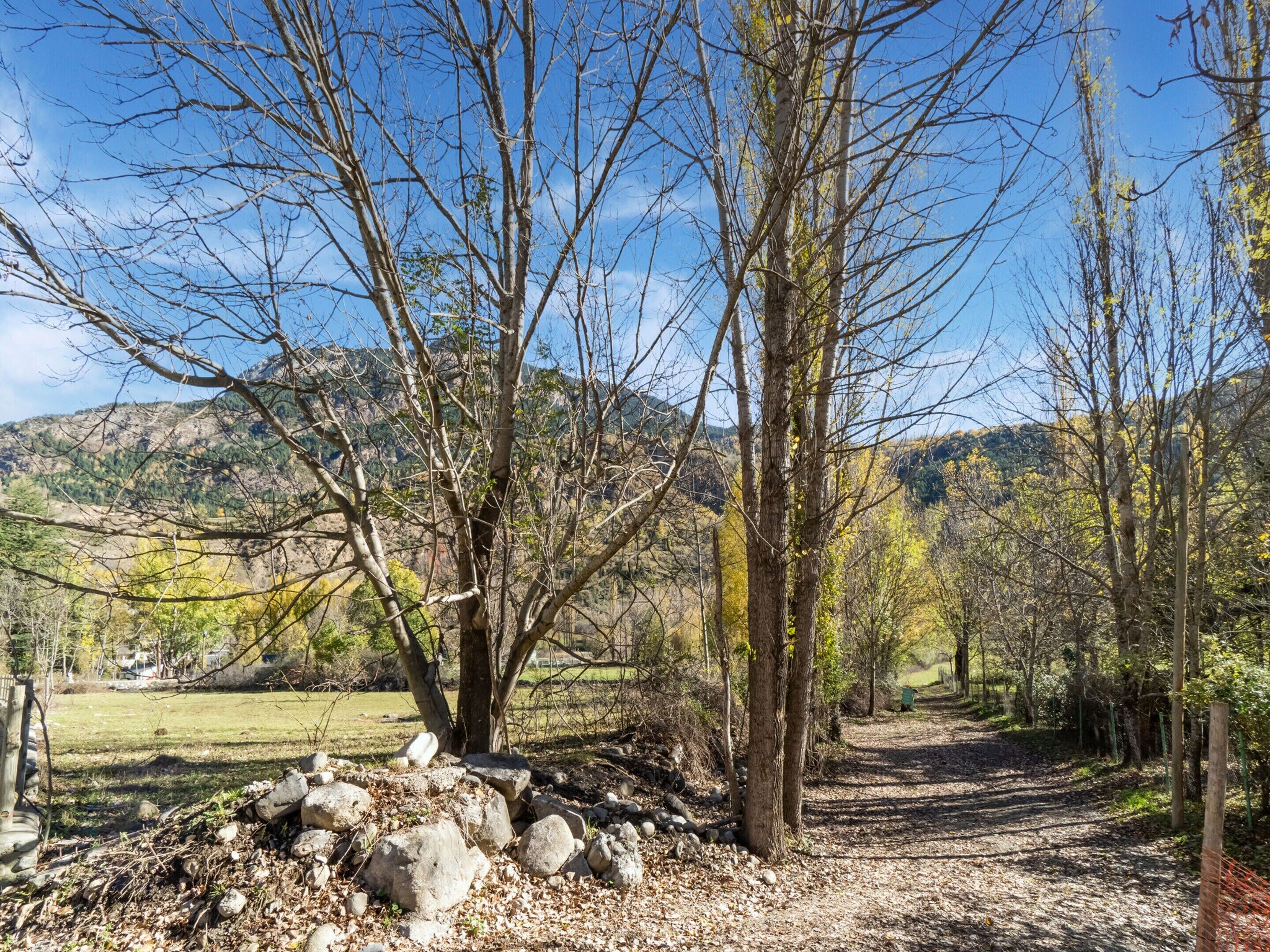 A natural landscape with a dirt path, trees, and a rocky area.