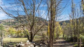 A natural landscape with a dirt path, trees, and a rocky area.