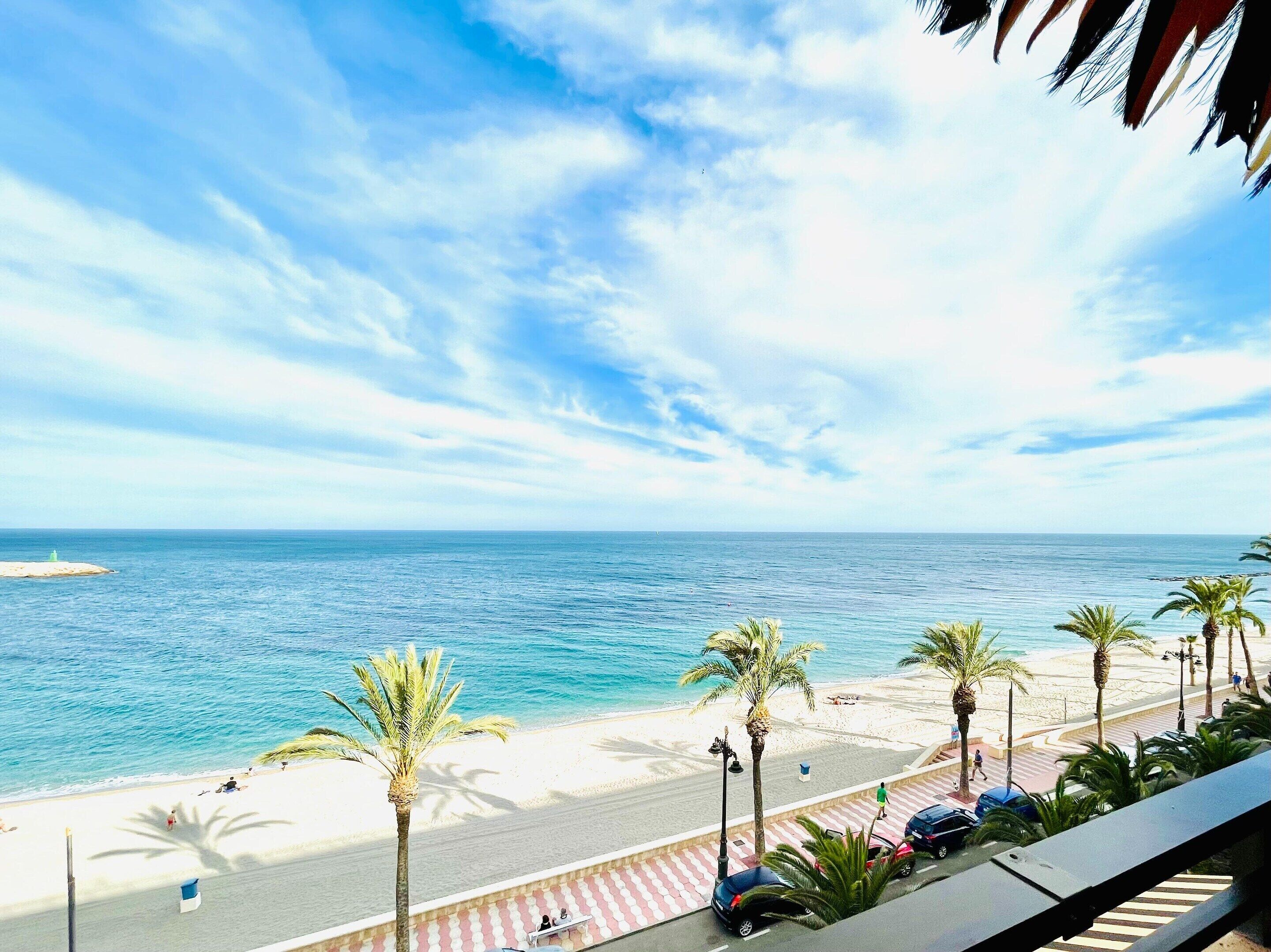 A beach with palm trees, a clear sky, and a calm sea.