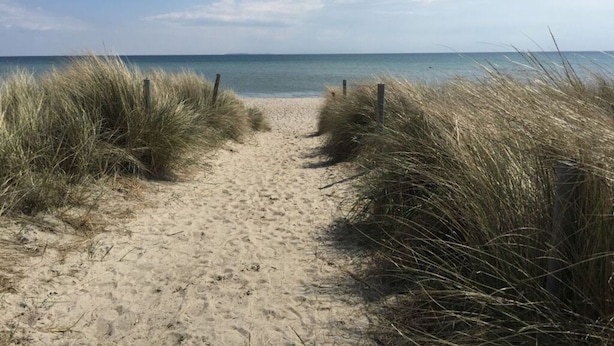 A sandy beach path flanked by tall grass leading to the ocean. - Holiday Apartment "kati" (Lancken-Granitz)