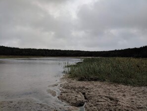 A riverbank with muddy water, a forest in the background, and overcast skies. - 7 Person Holiday Home in Ulfborg (Ulfborg)