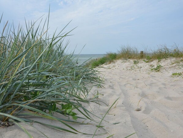 Exterior - Studio Apartment in the Captain's House (Ostseebad Wustrow)