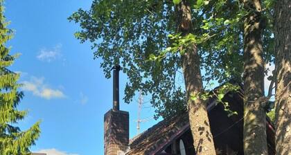 Holiday Apartment Lohr-drewes 2