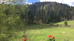 Un balcón con plantas en macetas y vistas a un campo cubierto de hierba y una colina boscosa.
