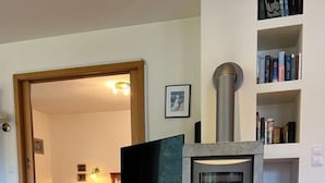 Una sala de estar con chimenea, televisor y estantería.