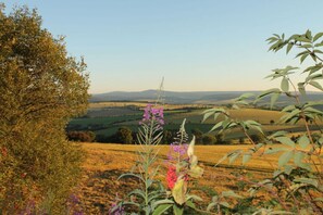 A rural landscape with fields, a tree, and a power line tower. - Holiday Apartment Comfortable Vacation Home (Annaberg-Buchholz)
