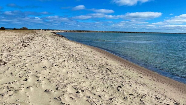 Une plage de sable où l’on peut voir des empreintes menant à l’eau, un ciel dégagé et une côte rocheuse qui se profile à l’horizon.