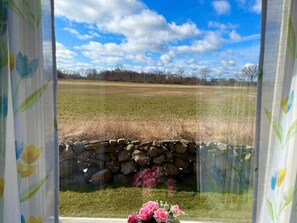 A view through a window with a stone wall and a grassy field.