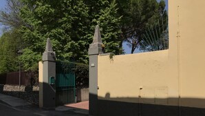 Une entrée fermée par un portail vert, un mur de couleur beige et une clôture en métal.