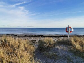 A beach with a lifebuoy sign, a dog, and a clear sky.