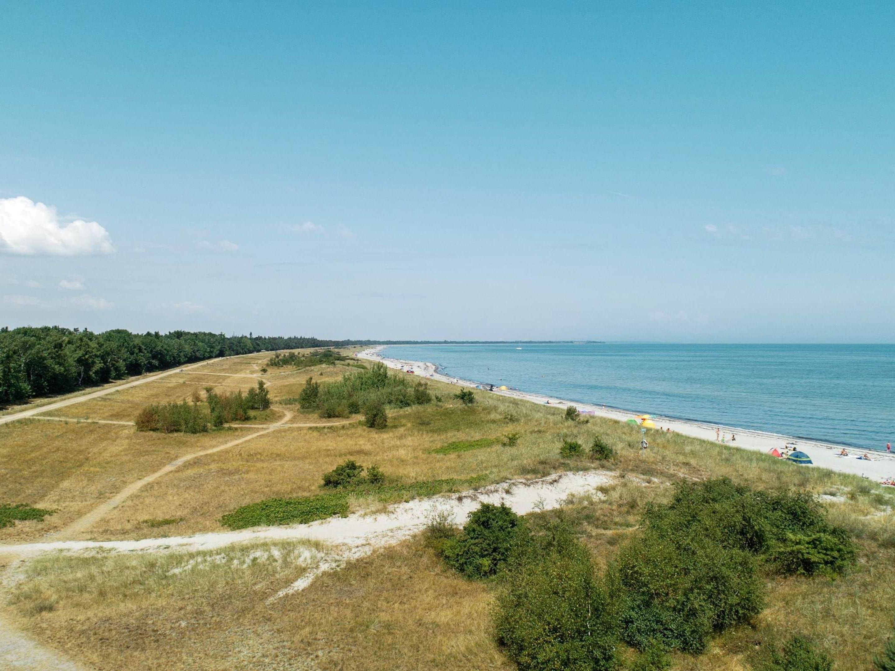 A coastal landscape with a beach, a dirt path, and a forested area.