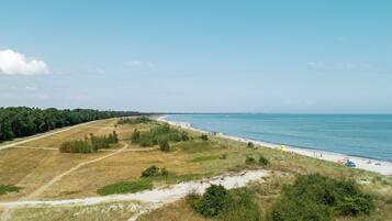 A coastal landscape with a beach, a dirt path, and a forested area.