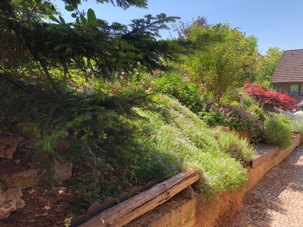 Exterior - Holiday Apartment Silberborth (Seesen)