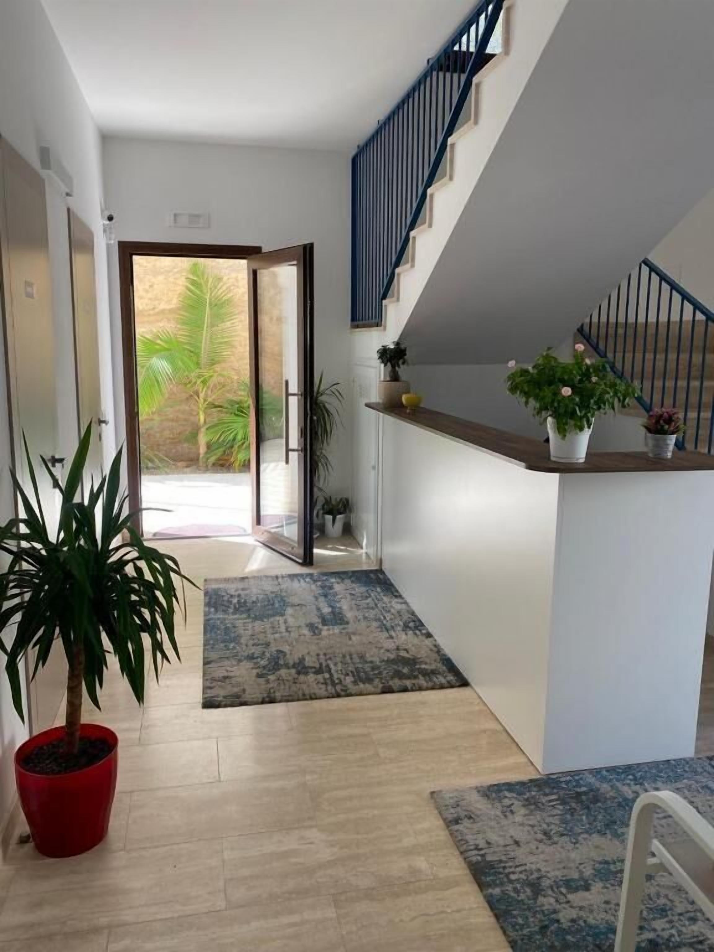 A modern interior with a wooden floor, a staircase with blue railings, and potted plants.