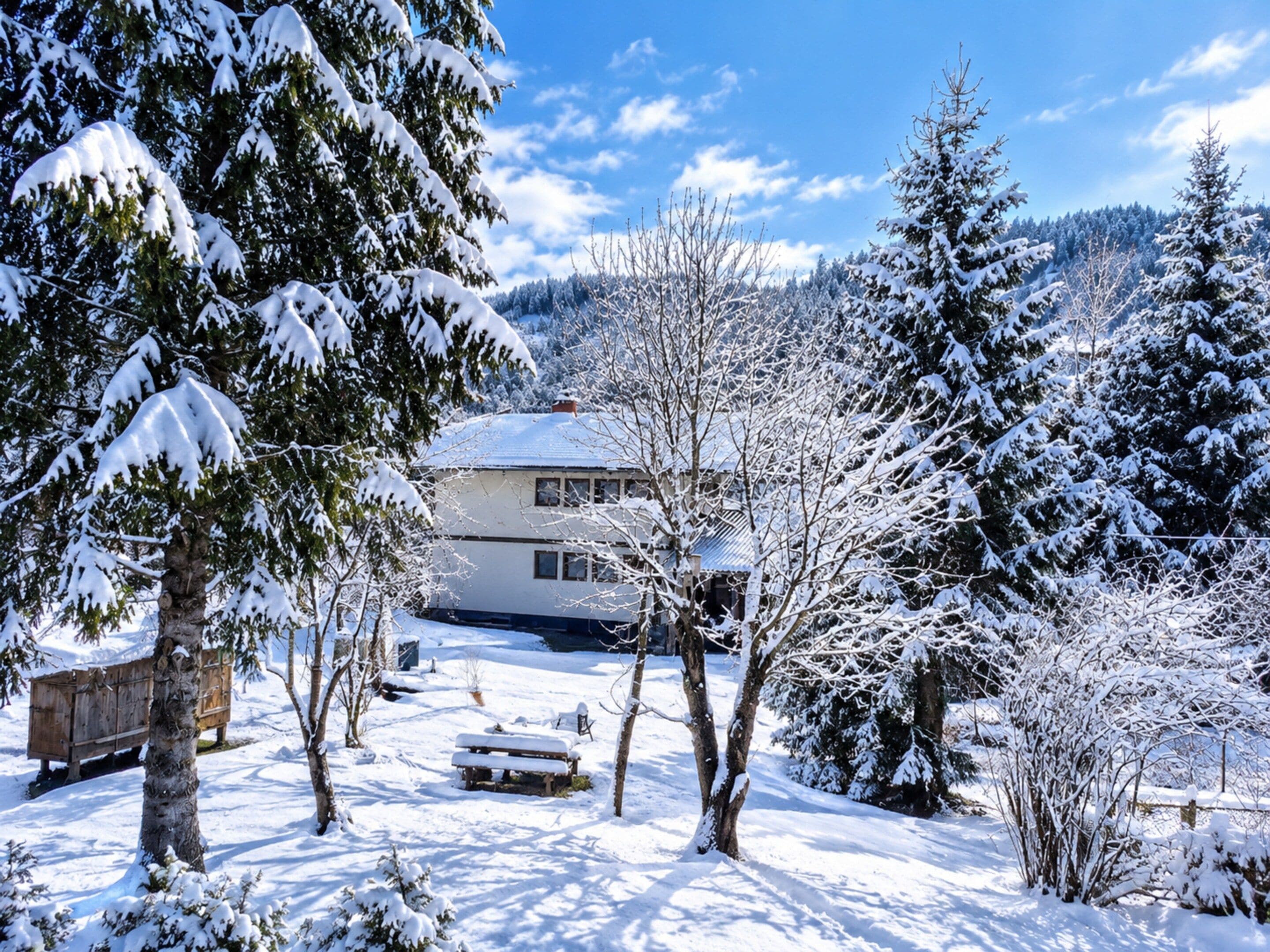 Un paysage enneigé avec une maison, des arbres et un banc.