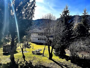 Apartment | Garden - Chalet in Flattnitz Near Ski Slopes & Lakes (Weitensfeld)