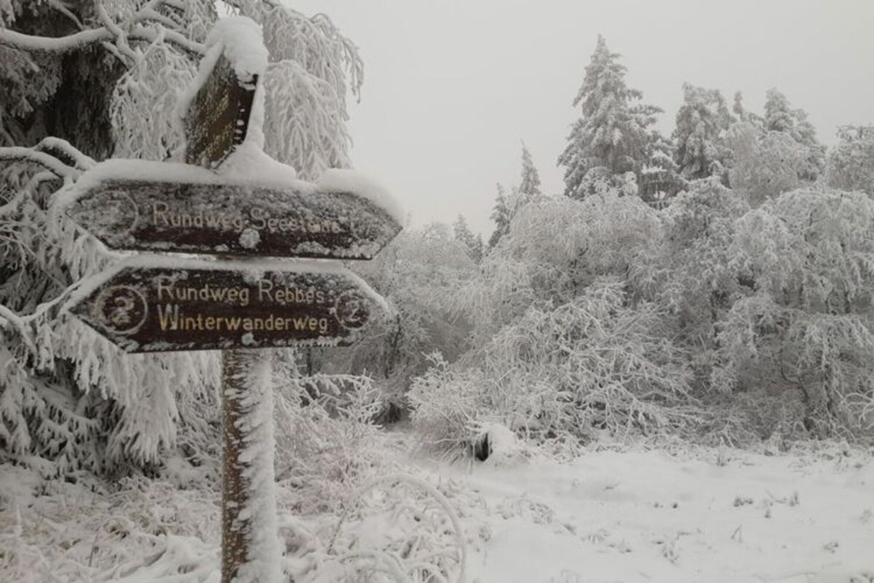 A snow-covered signpost with directions to 'Rundweg Rechen' and 'Winterwanderweg'.