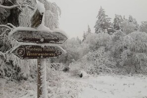 A snow-covered signpost with directions to 'Rundweg Rechen' and 'Winterwanderweg'. - Lovely Apartment in Hesse (Berkatal)