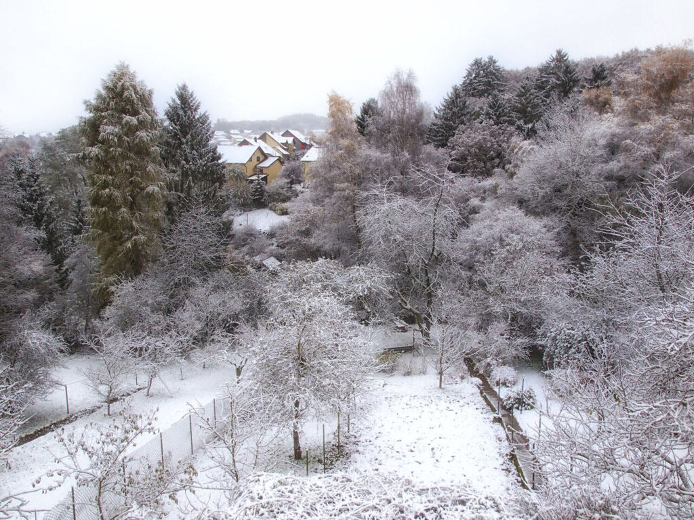 A snow-covered landscape with a house surrounded by trees.