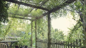 Puinen terassi, jossa on pergola ja puinen aita, ja sen ympärillä rehevää kasvillisuutta.