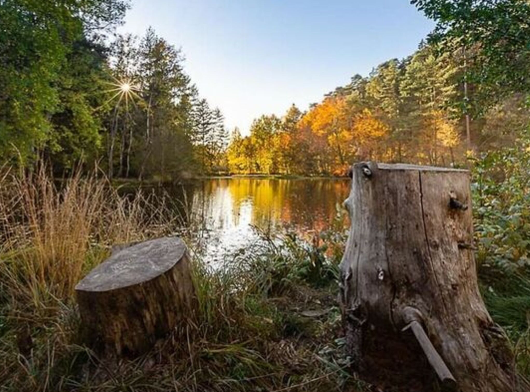 Eine friedliche Seenlandschaft mit einem hölzernen Baumstumpf am Ufer.